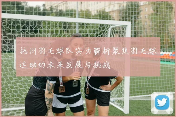 杭州羽毛球队实力解析聚焦羽毛球运动的未来发展与挑战