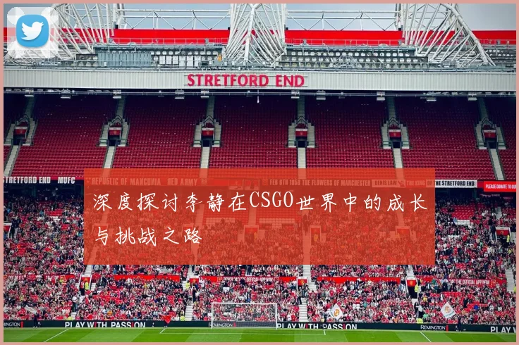 深度探讨李静在CSGO世界中的成长与挑战之路