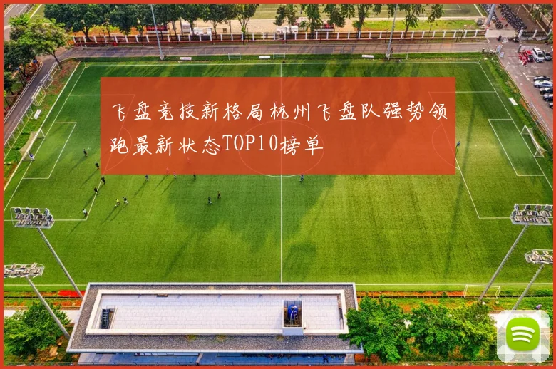 飞盘竞技新格局杭州飞盘队强势领跑最新状态TOP10榜单
