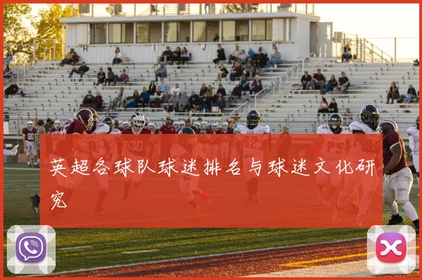 英超各球队球迷排名与球迷文化研究